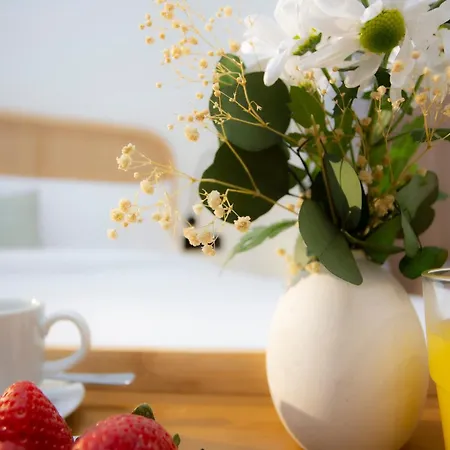 Nomad Haux Mestalla 公寓